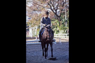 重心移動に連動して前後の脚で推進力を生み出す馬の走り。この動きがフルタイム4WDとHICASの着想源となった