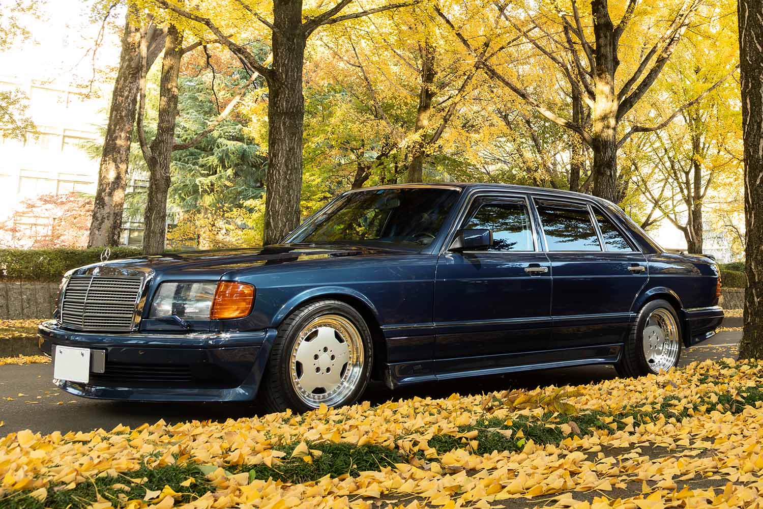 ヒコセブン　レイズ　メルセデスベンツ 生産100台未満メルセデス・ベンツ「560SEL AMG 6.0-4V」の何もかも極上