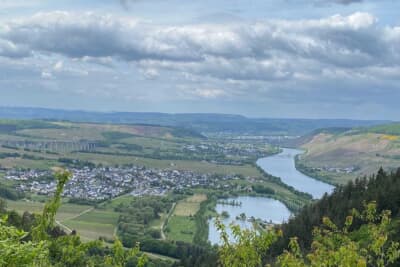 樹々が生い茂って、この場所から十分には見えませんが、モーゼルワインの産地とモーゼル川が絶景です
