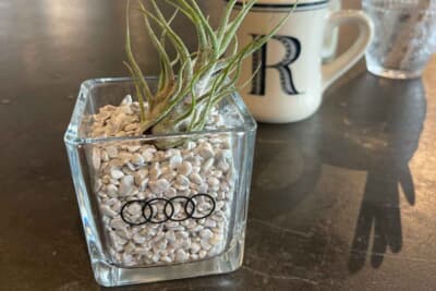 アウディ Q3:お洒落なカフェのテーブルに置かれた多肉植物とコーヒーカップ