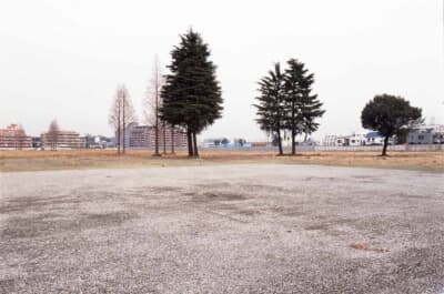 開発を前に更地となった荻窪工場の跡地。中島飛行機の時代から半世紀以上にわたり技術者が集った一帯には、数本の木立だけが残された。現在は桃井原っぱ公園と集合住宅、商業施設に生まれ変わっている