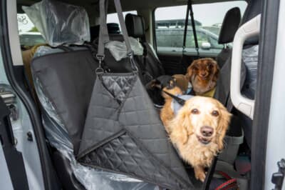 三菱「デリカD:5」:2列目は愛犬が過ごしやすようにカバーを設置し、3頭が仲良く移動できるように配慮している