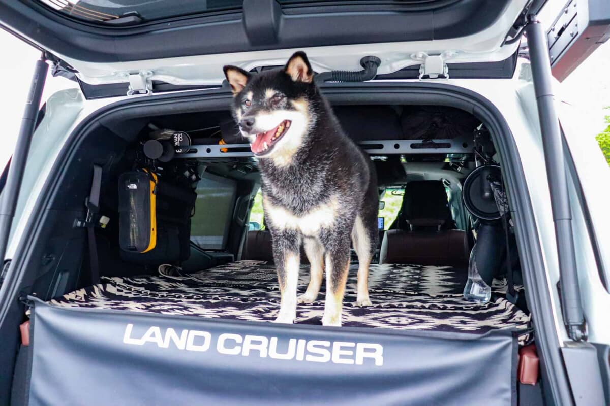 トヨタ ランドクルーザー250：愛犬の桃太郎くん。ストレスなくオーナーと色々なところに旅ができてご満悦。長期休みには和歌山も巡った