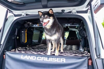 トヨタ ランドクルーザー250：愛犬の桃太郎くん。ストレスなくオーナーと色々なところに旅ができてご満悦。長期休みには和歌山も巡った